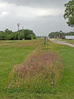 Looking northwest from Frederick Avenue, toward the Twin Cities